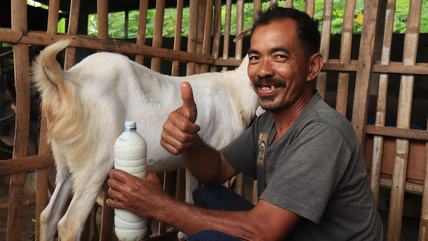 Susu Kambing Desa Kauman Melawan Mitos